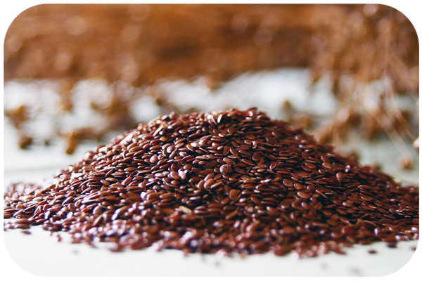 Brown Flaxseed