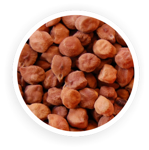 Organic Brown Chickpeas Whole 