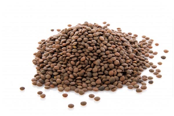 organic-brown-lentil