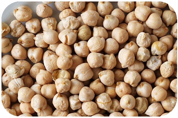 organic kabuli chickpea