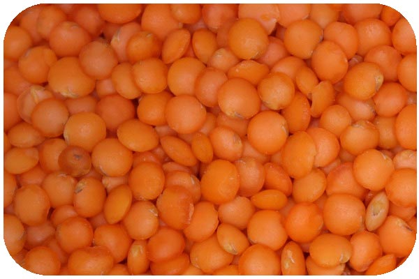 organic red lentil whole