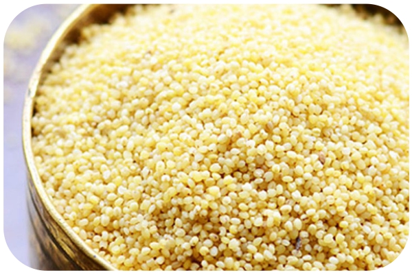 Organic Foxtail Millets - Nature Bio Foods