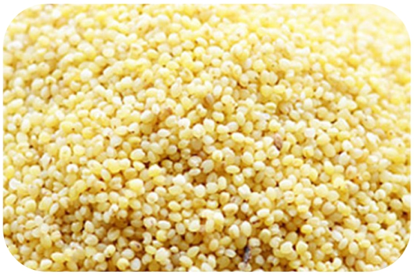 organic-foxtail-millets-nature-bio-foods