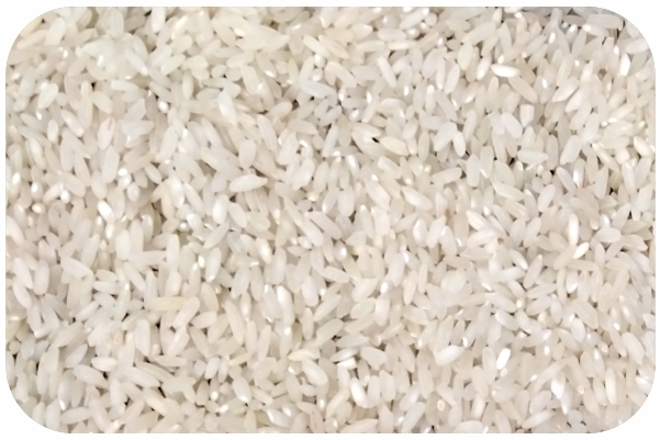 White Medium Grain