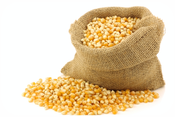 Organic Corn - Nature Bio Foods