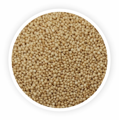 Organic Amaranth Seed