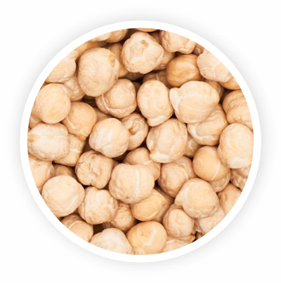 Organic White Chickpeas (Garbanzo Beans) 