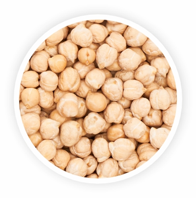 Organic White Chickpeas (Garbanzo Beans) 