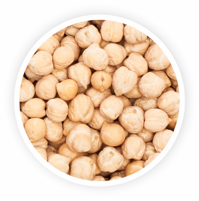 Organic White Chickpeas (Garbanzo Beans) 